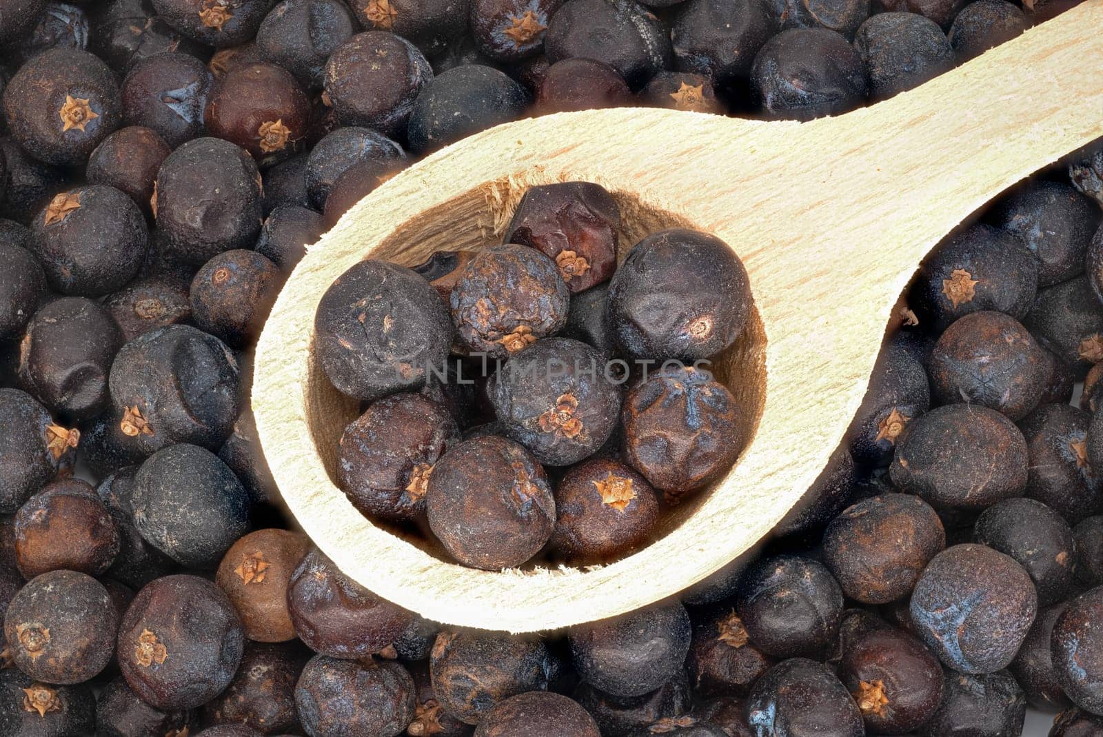 Juniper Berries, close up and studio shot of dried berries
