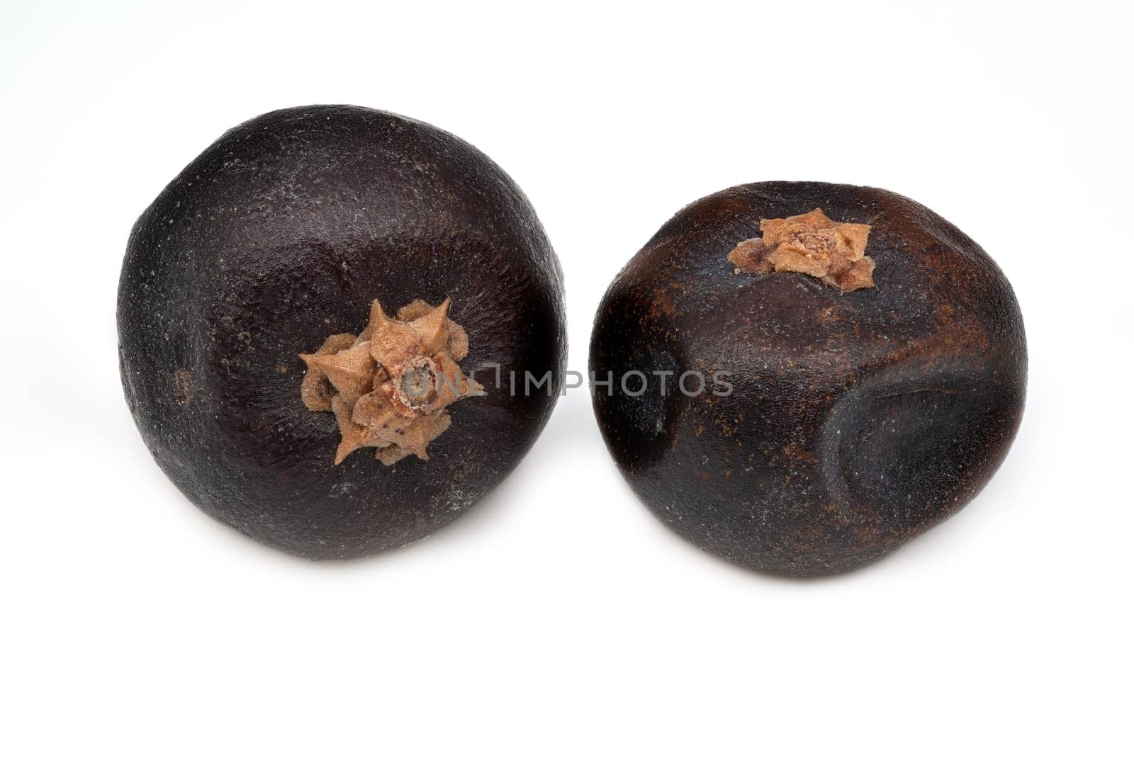 Juniper Berries, close up and studio shot of dried berries