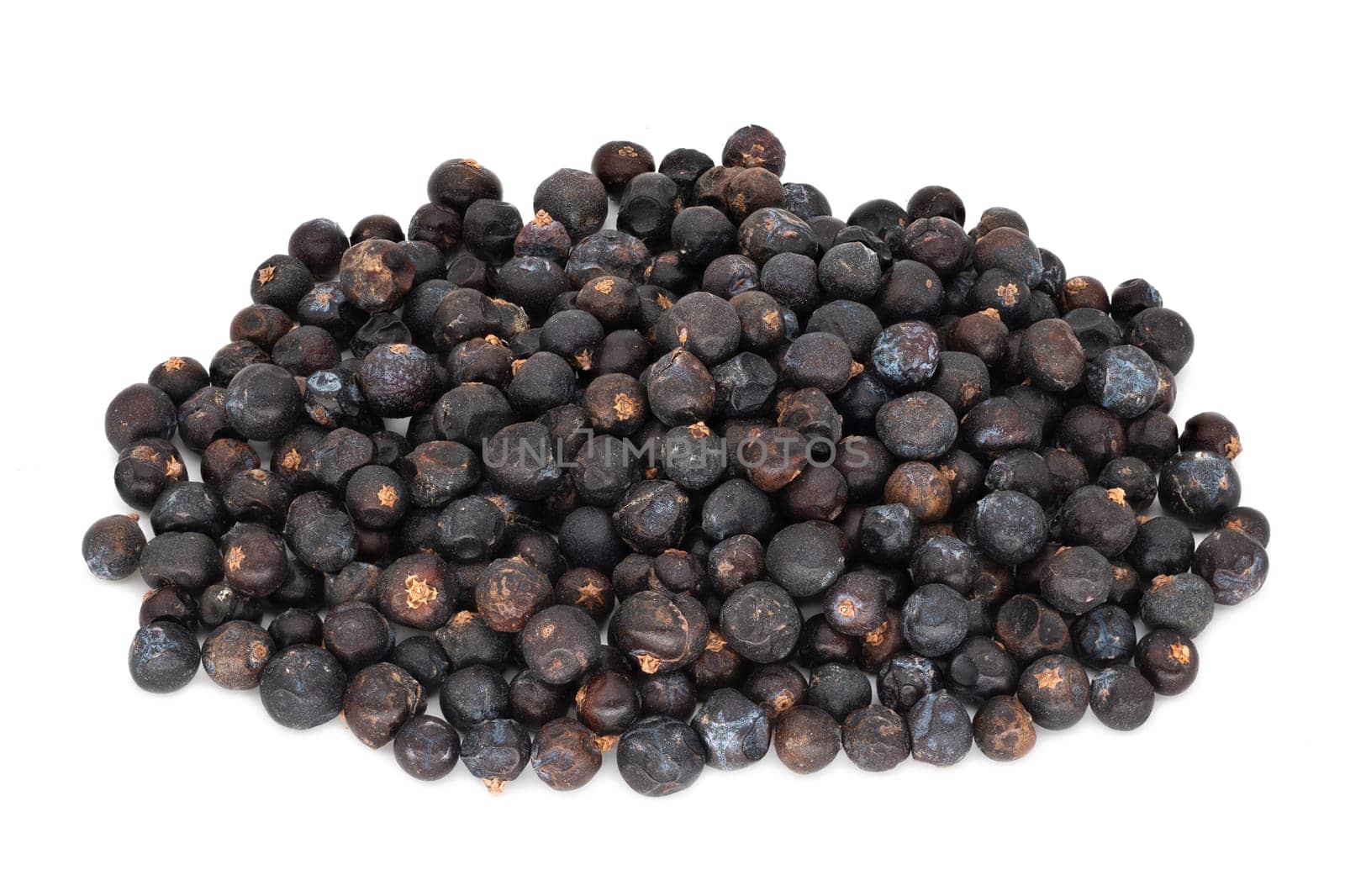 Juniper Berries, close up and studio shot of dried berries