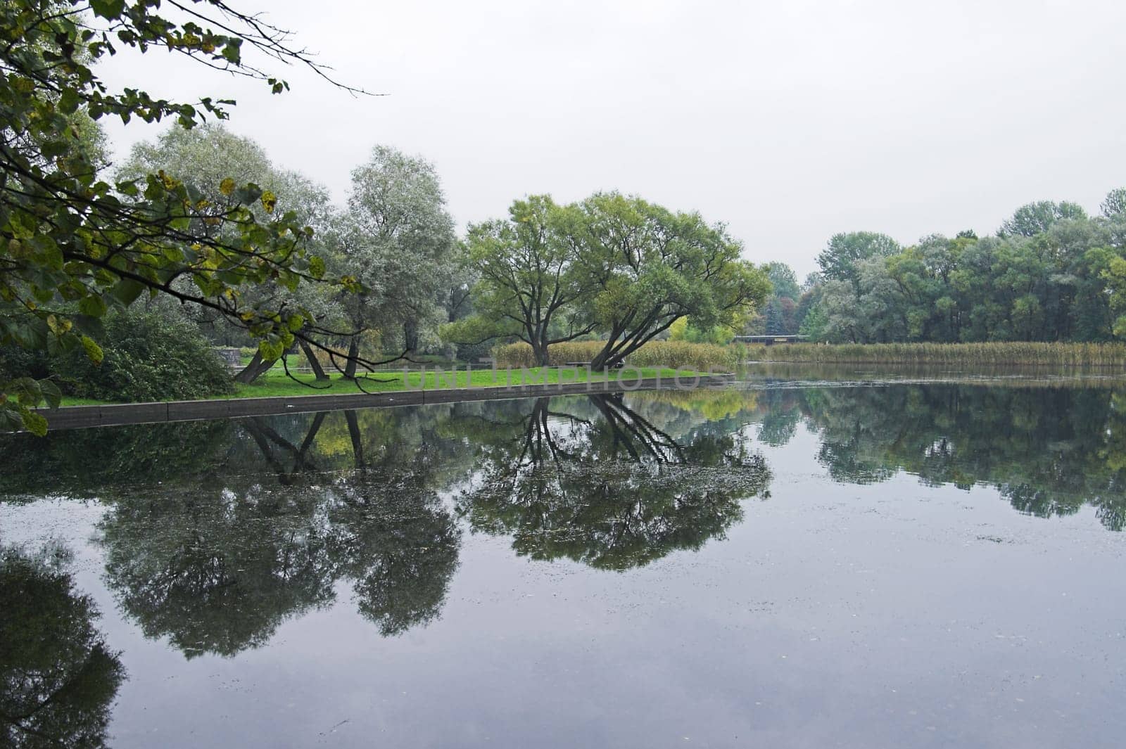 A lake in an early autumn park on a cloudy and foggy day.