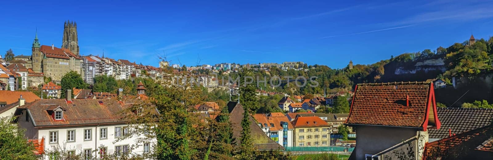 Panoramic view of cathedral of St. Nicholas in Fribourg, Switzerland