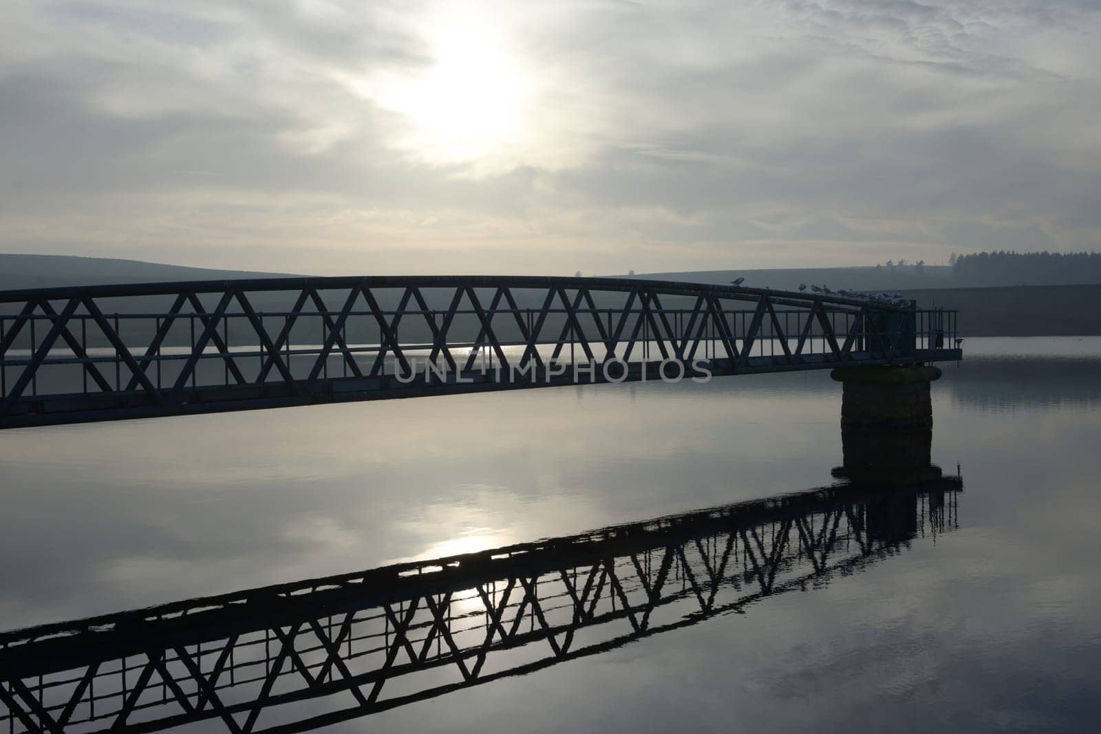 Birds settle on a metal jetty with calm water and evening sunlight reflected behind. Hazy atmosphere contrasts against the bold steel struts.