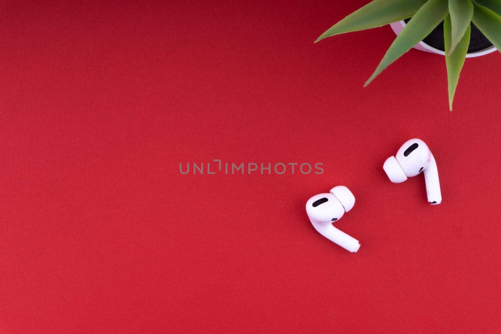 Kuala Lumpur, Malaysia - December 1,2020 : AirPods Pro and decorative plant on red background