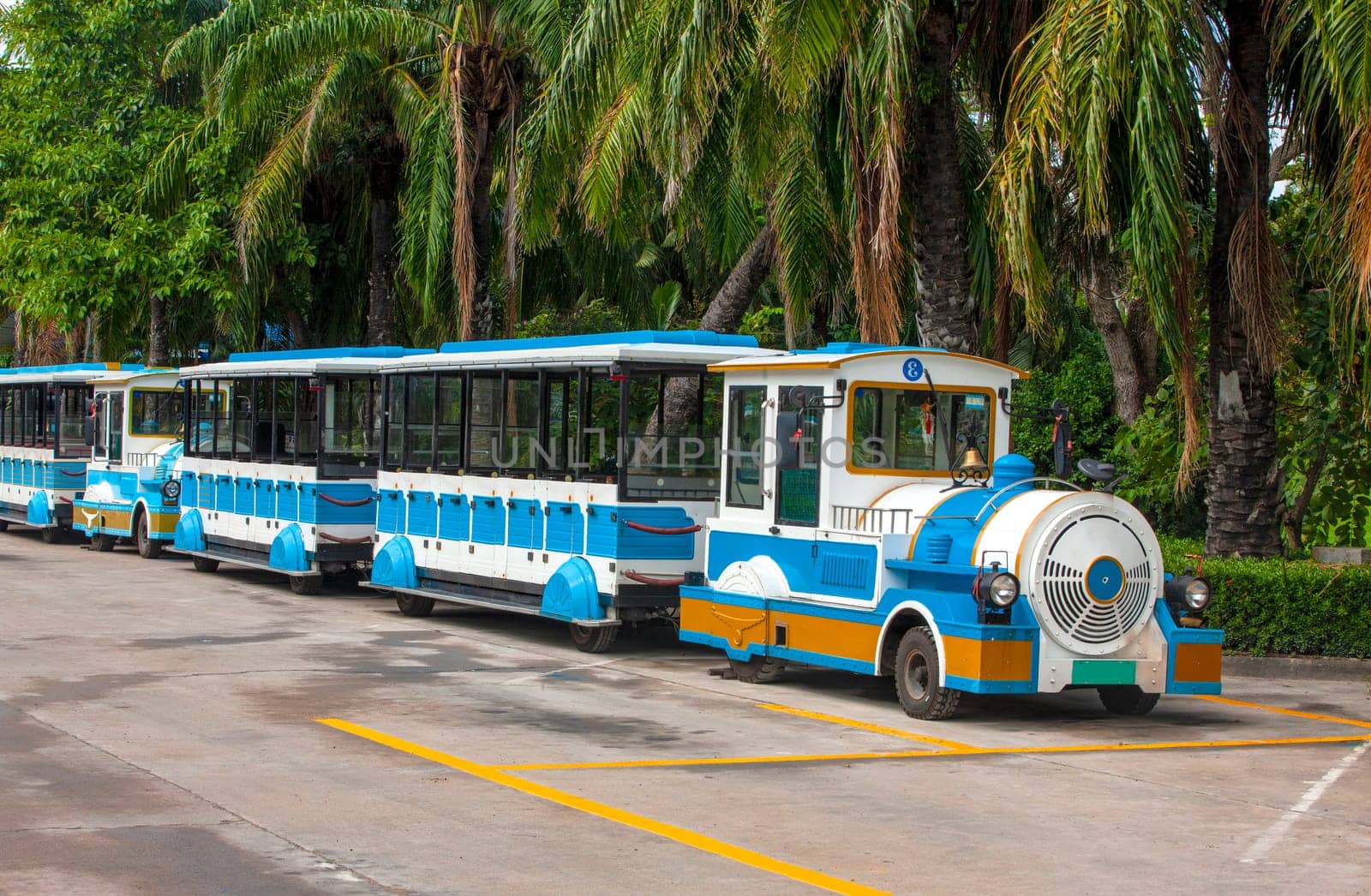 The Excursion train in the Park for tourists under the palms