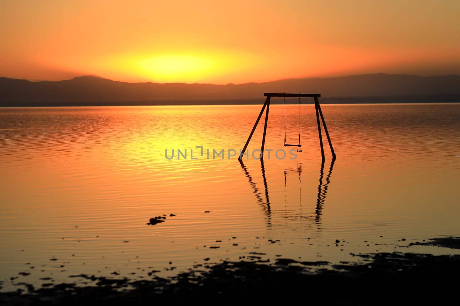Salton Sea Swing in the Toxic Waters Edge