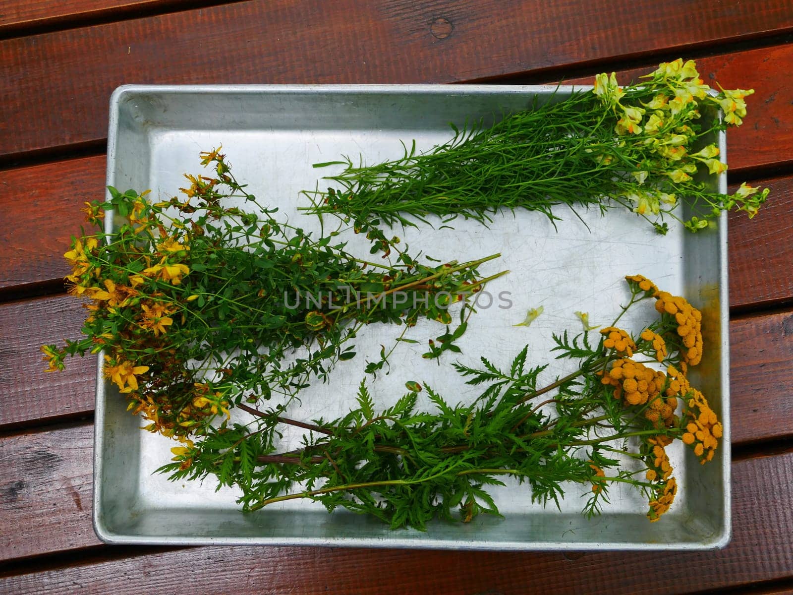 small bouquets of medicinal herbs on a tray of tansy, St. John's wort, toadflax, still life