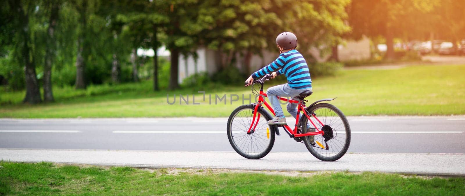 child on a bicycle at asphalt road in summer. Bike in the park. Boy cycling outdoors on beautiful sunny evening