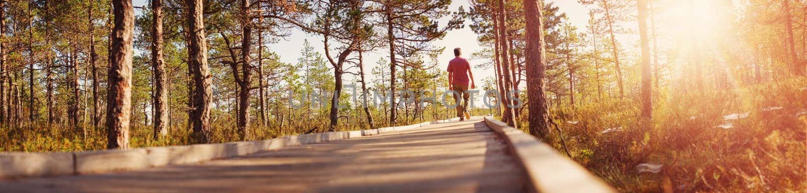 Man walking on wooden walkway in nature. Human silhouette in the morning