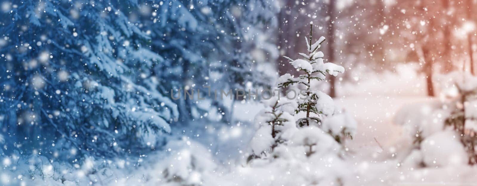 Beautiful tree in winter landscape in late evening in snowfall
