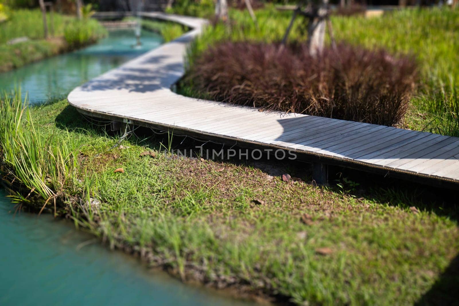 Simple walkway in summer rice field resort, stock photo