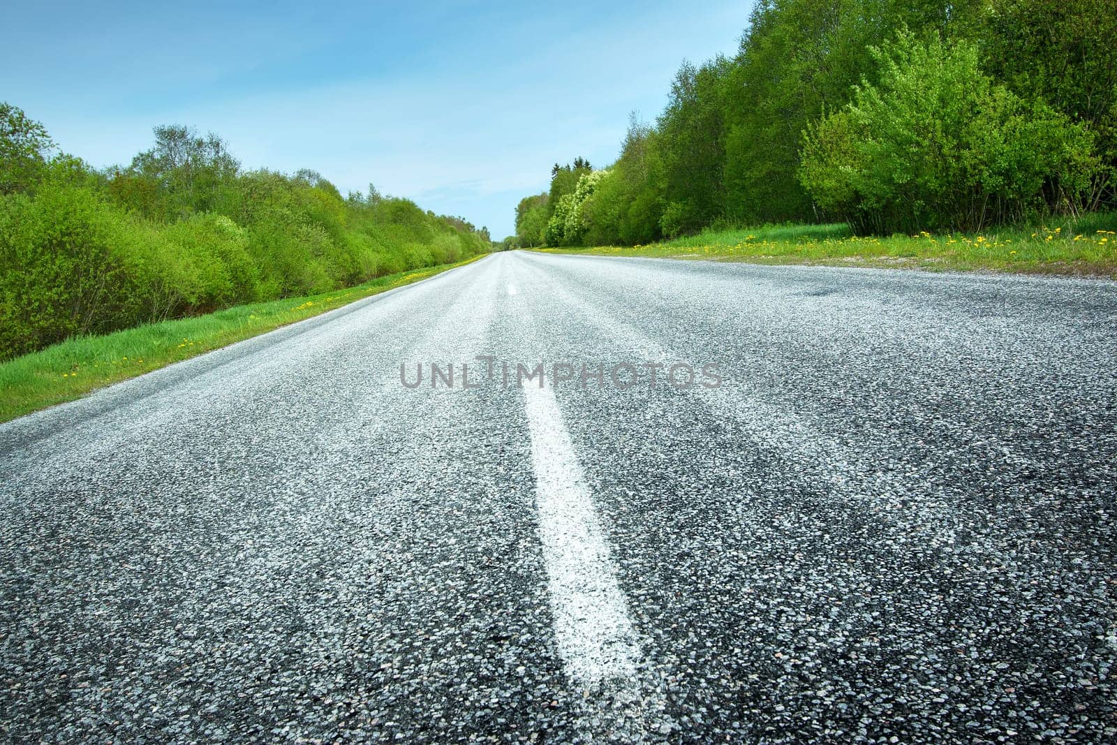 Asphalt road in beautiful spring day at countryside