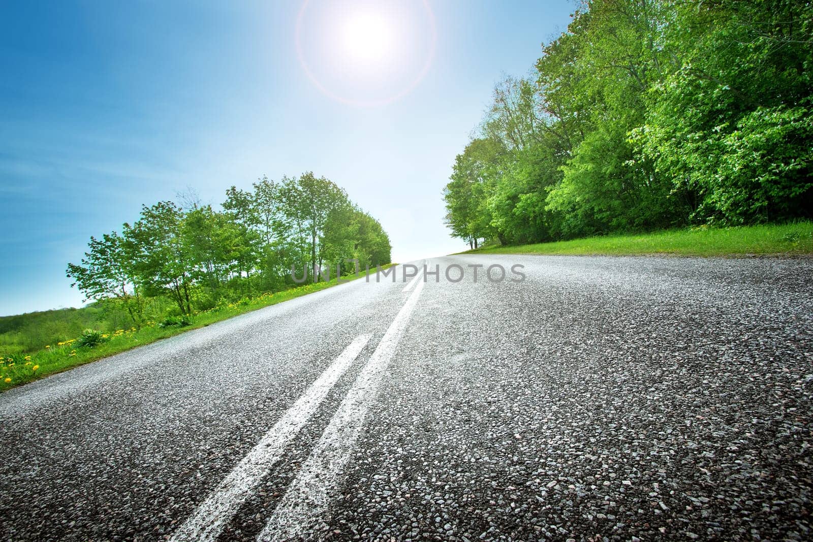 asphalt road panorama in countryside on sunny spring day