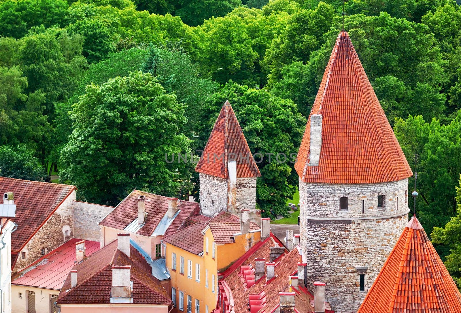 Tallinn. Estonia. View to old town from Oleviste church in summer