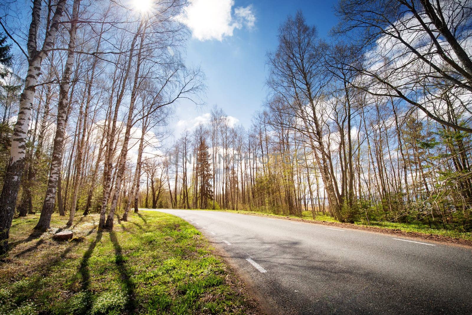 asphalt road panorama in countryside on sunny spring evening