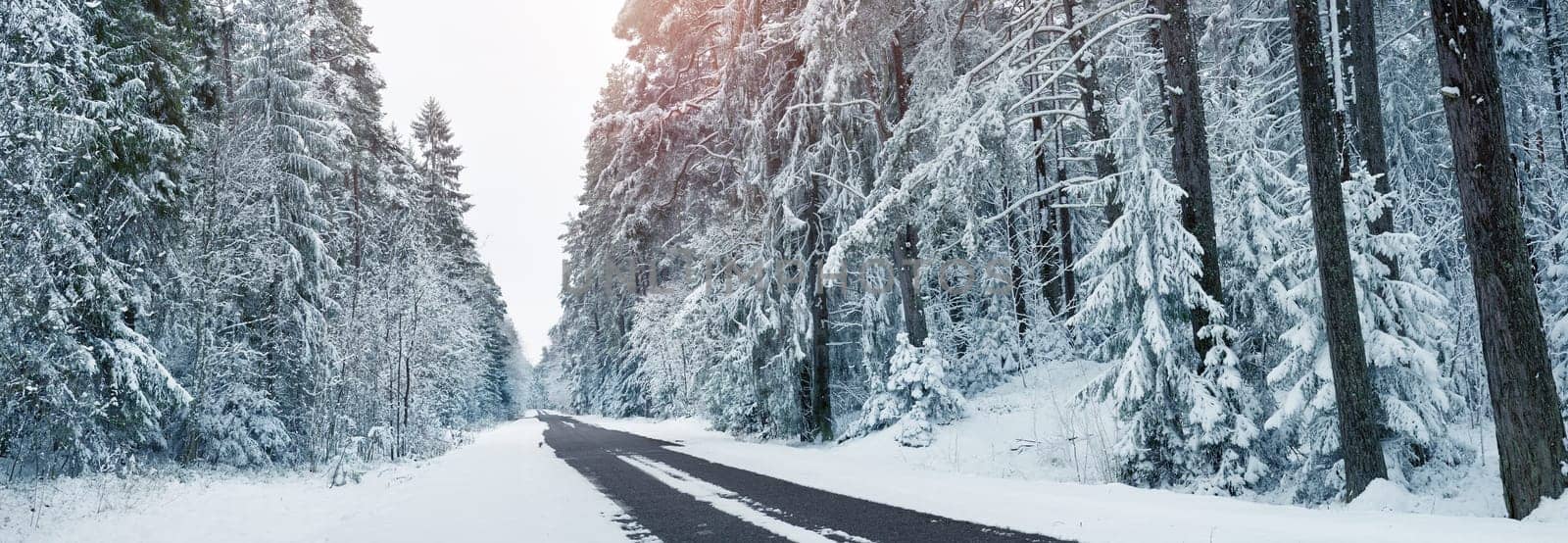 Asphalt road in snowy winter on beautiful frosty day