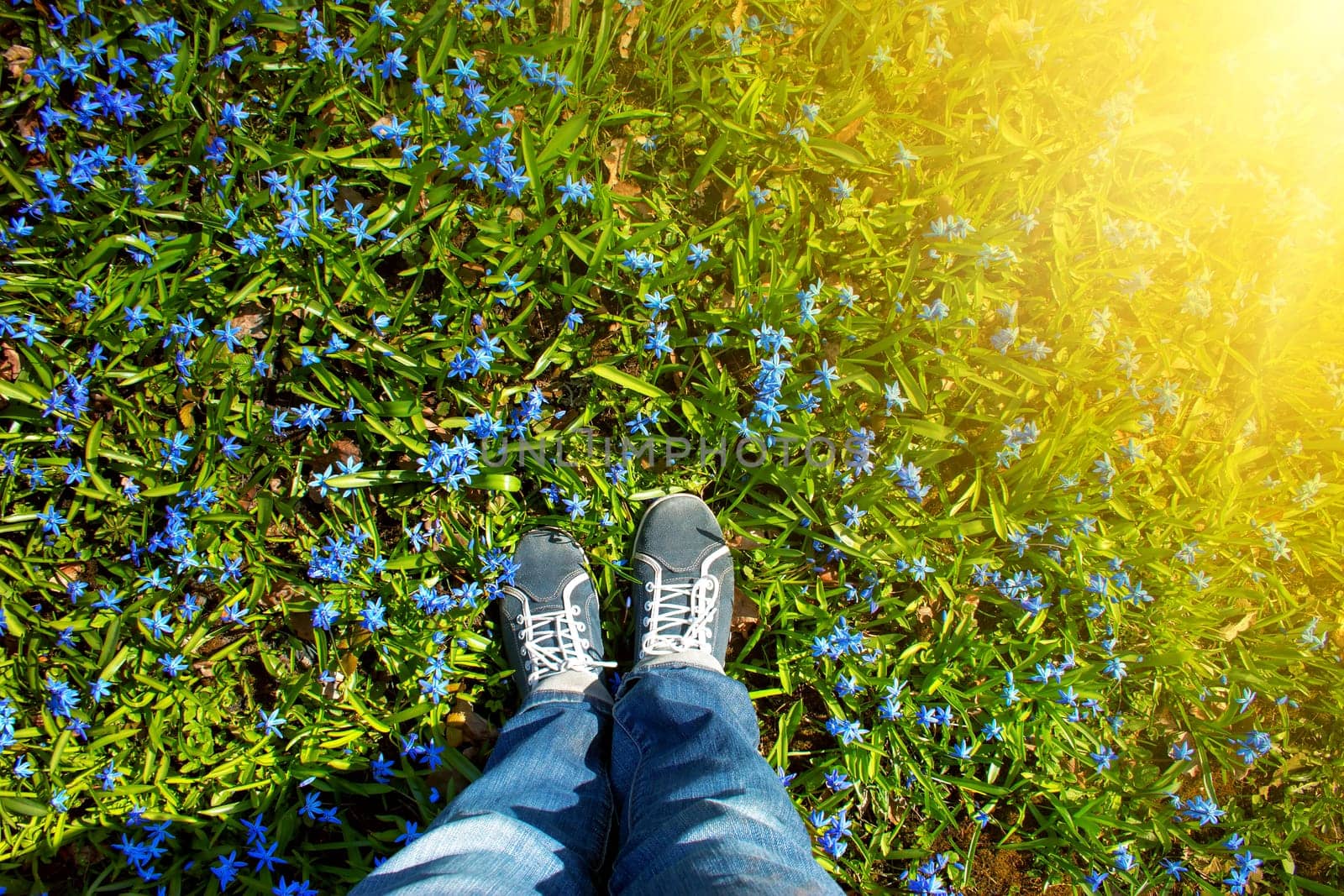 view to spring flowers in the park. Beautiful morning with sunshine. Feet in shoes on the ground