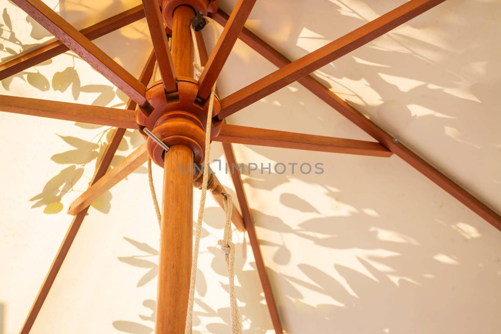 Relaxation resort garden in summer, stock photo