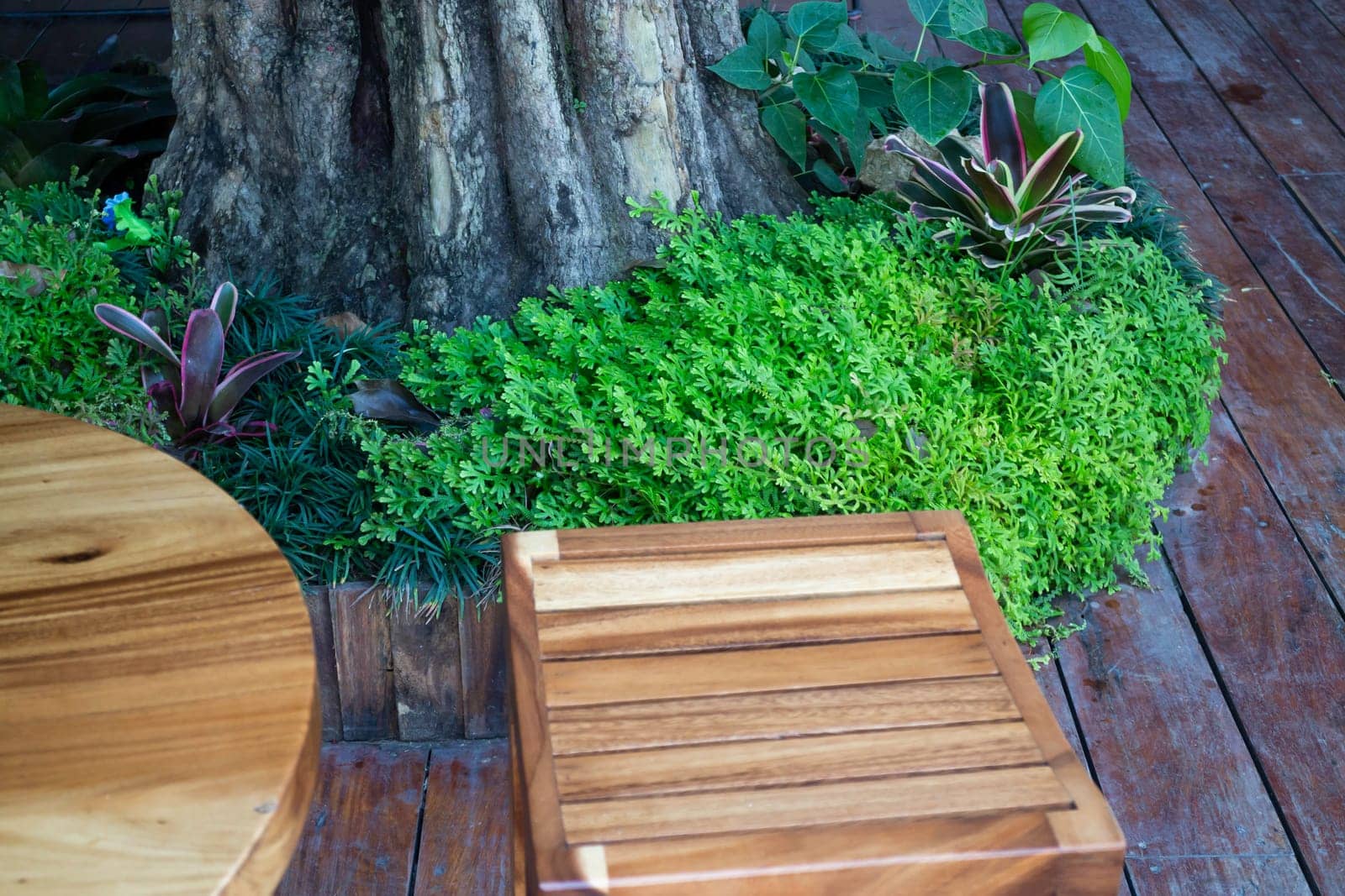 Exterior resort garden with wooden material, stock photo