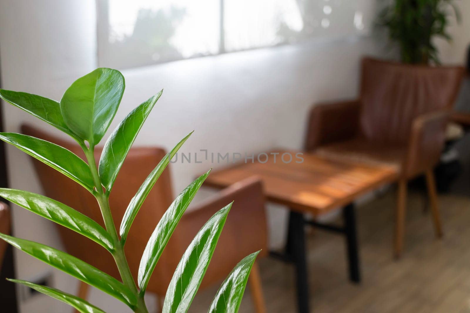 Interior working space wooden furniture, stock photo