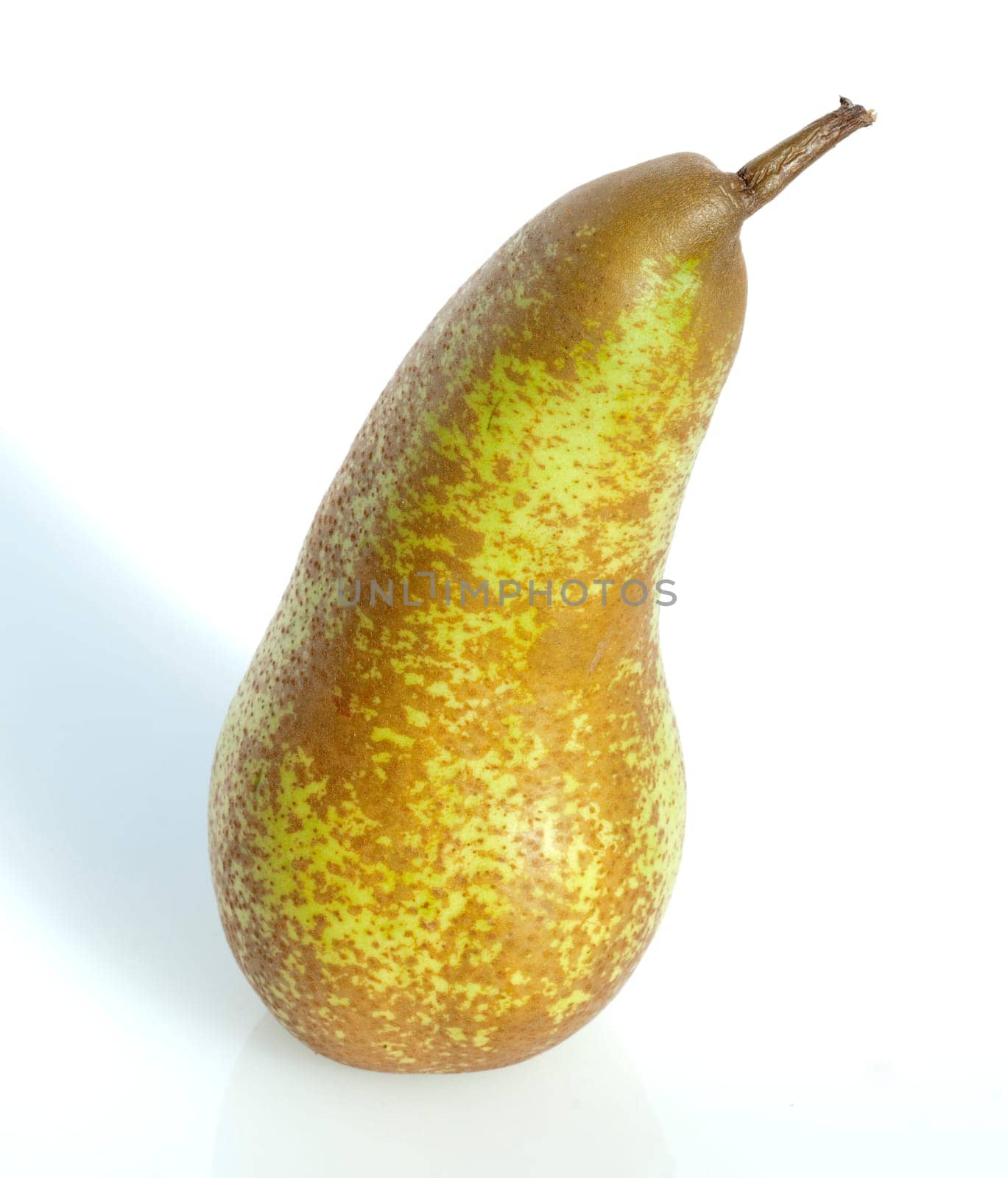 Abate Birne, Birne, Pyrus communis