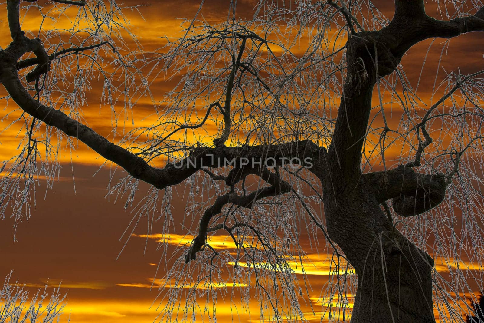 Sonnenaufgang  Morgenrot