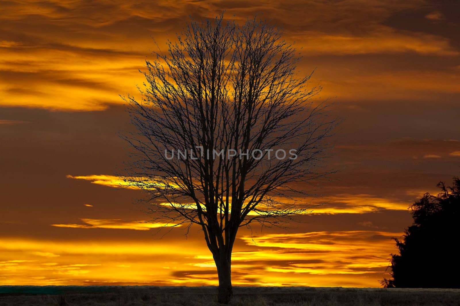 Sonnenaufgang  Morgenrot