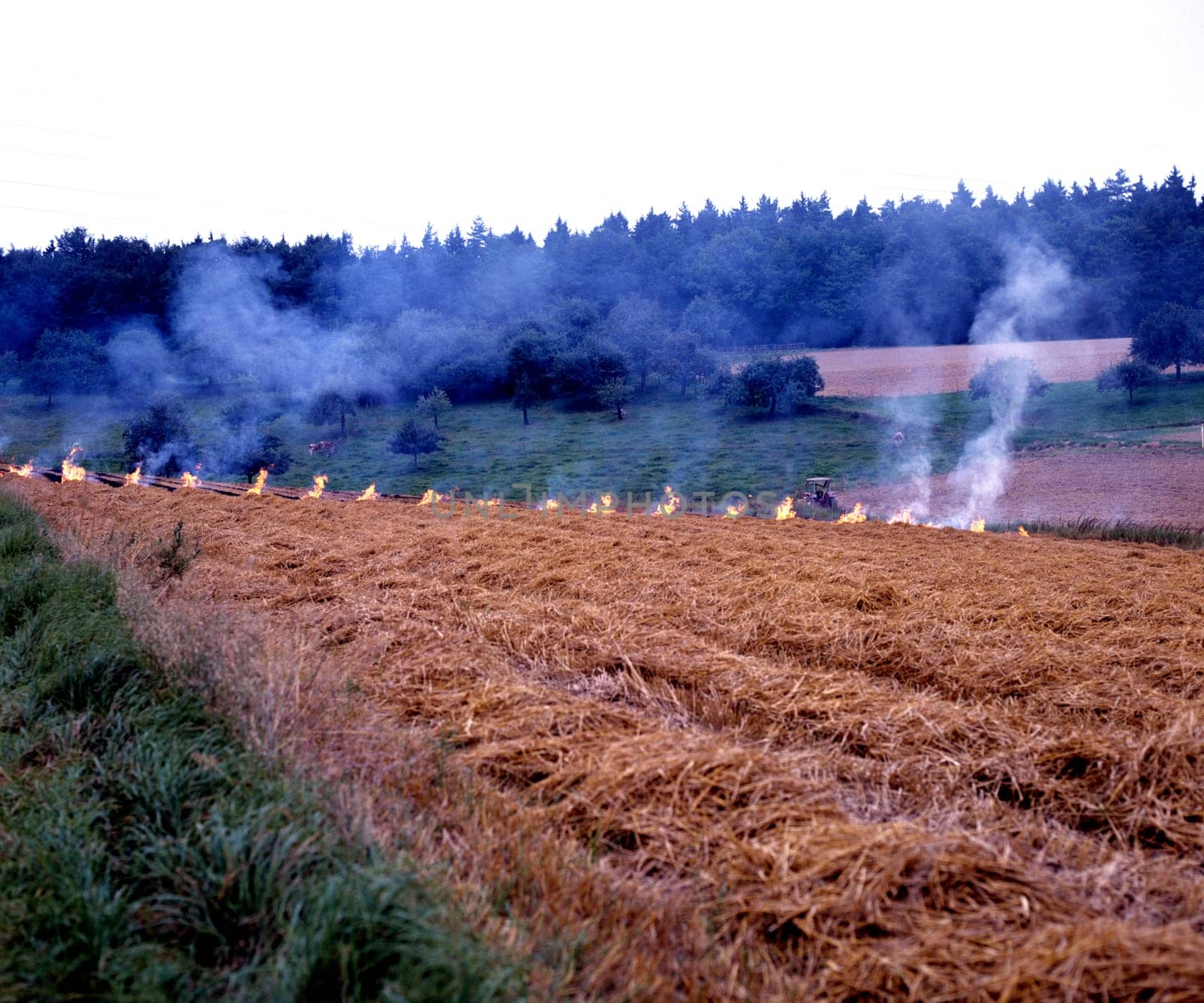 Abflammen von Feldern