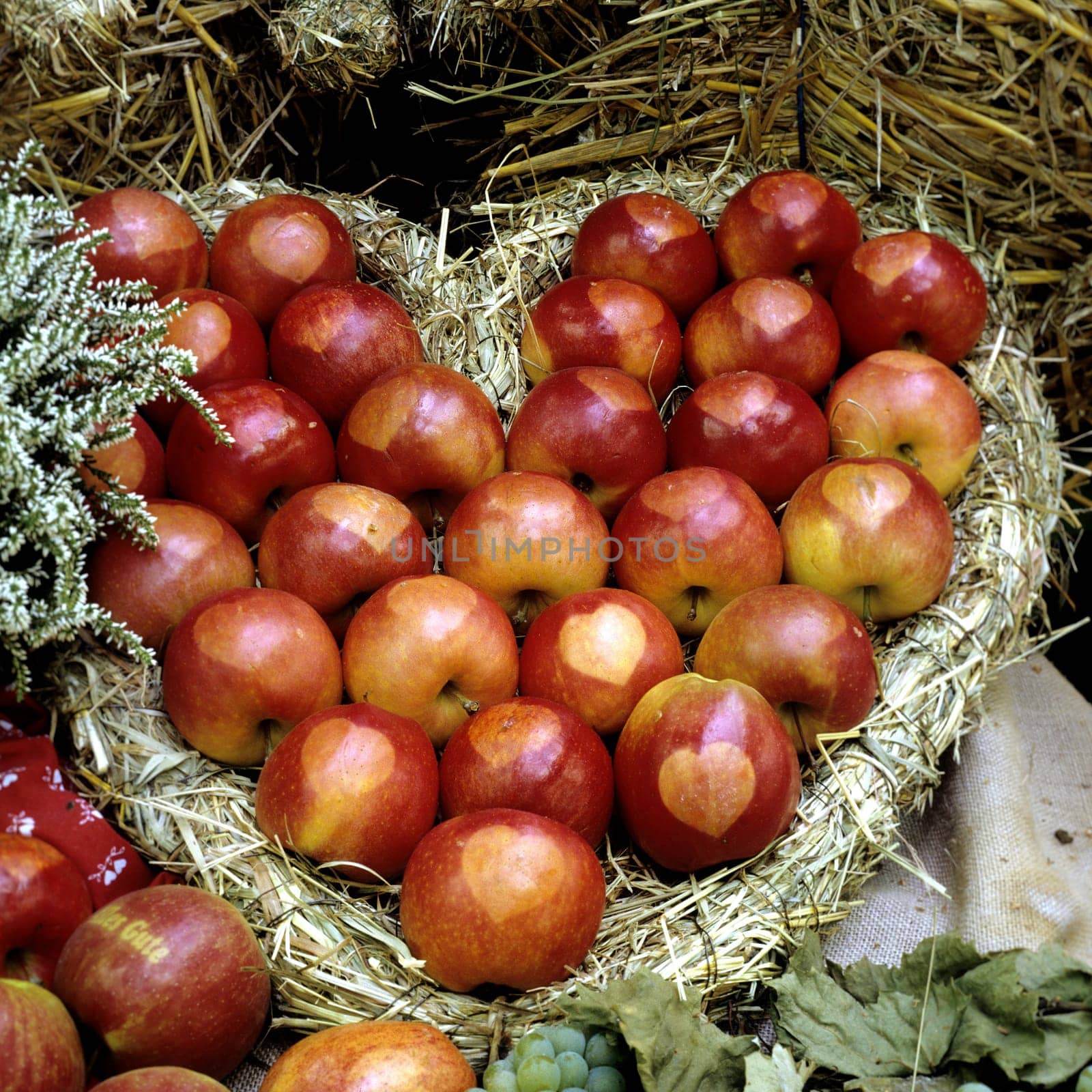 Aepfel mit Herzen, Apfelsorte, Apfel, Kernobst, Obst