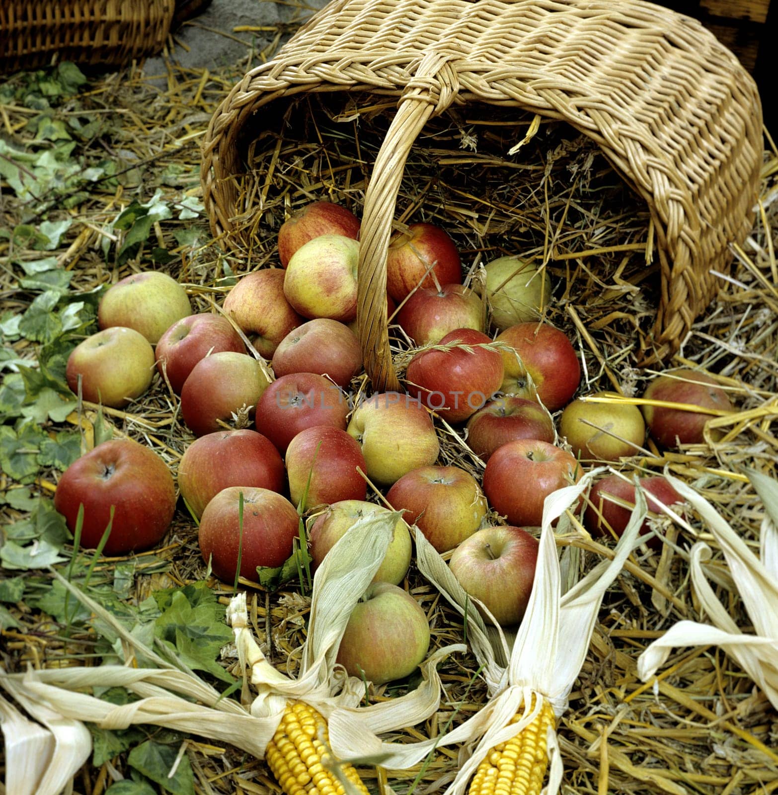 Aepfel im Korb