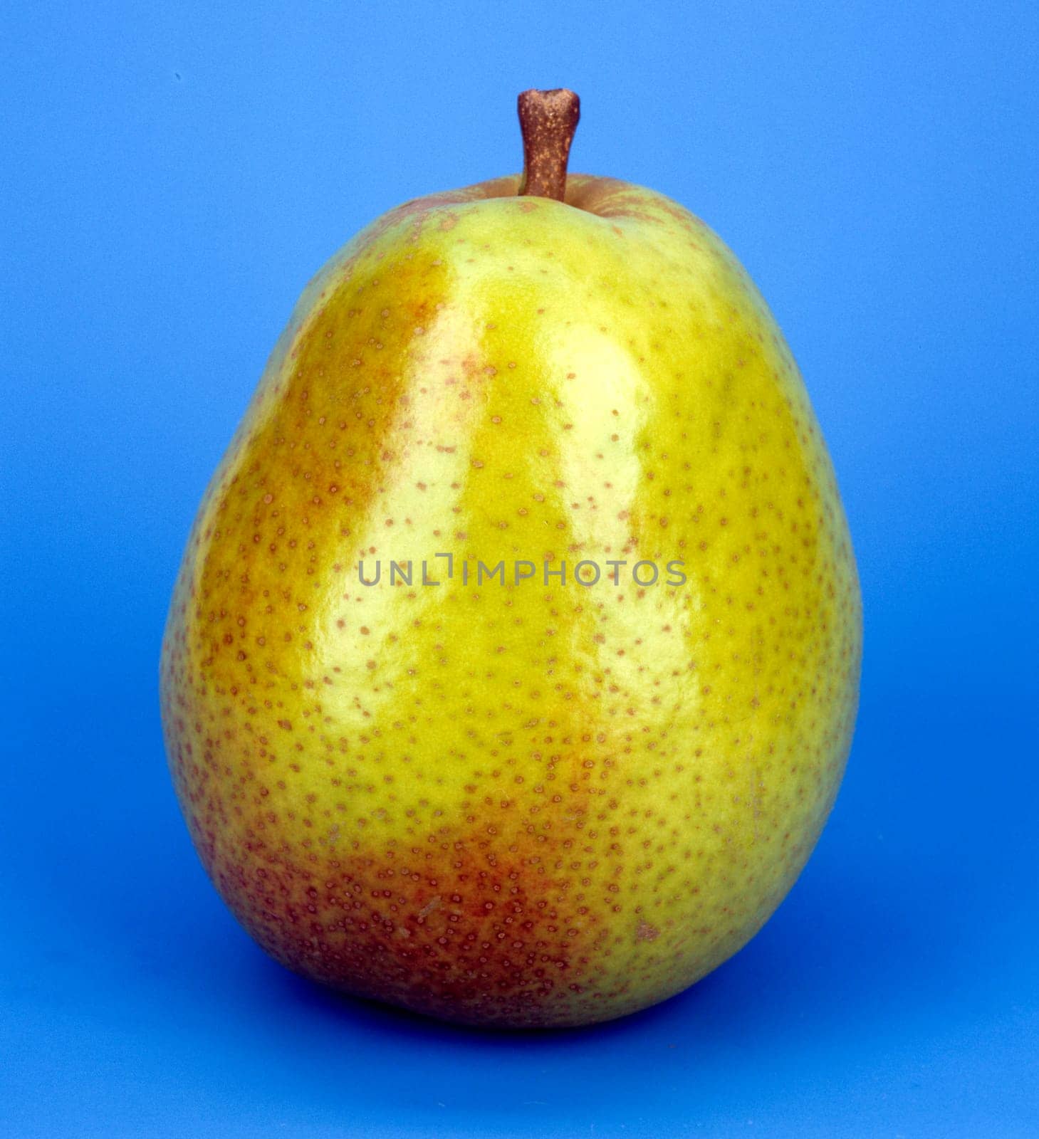 Alexander Lucas  Birne  Birnensorte, Birne, Kernobst, Obst
