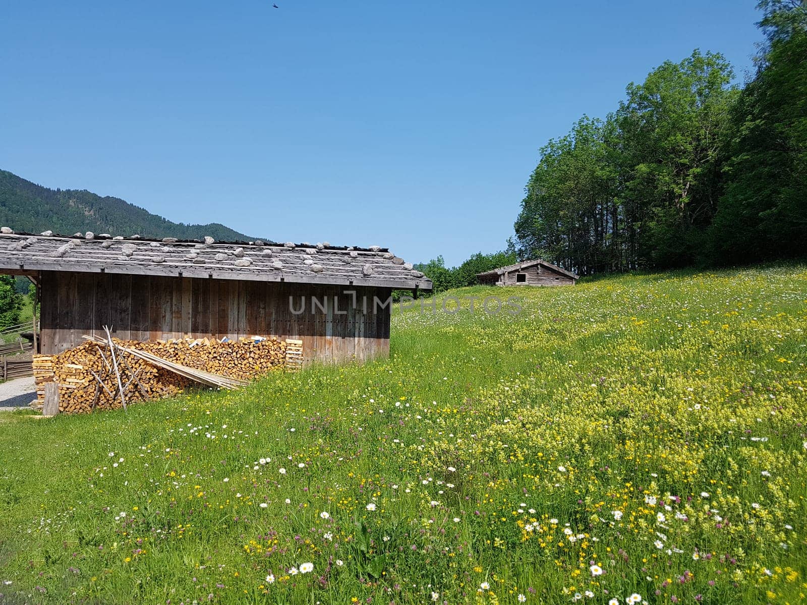 Almhaus im Heimatmuseum. Das Markus Wasmeier Freilichtmuseum Schliersee hat seit Mai 2007 seine Pforten geöffnet. Auf rund 60 000 Quadratmetern können Museumsbesucher eine unvergessliche Reise in ein altbayrischen Bauernhofdorf der Vergangenheit erleben. Es befindet sich in Neuhaus am Schliersee in Oberbayern.