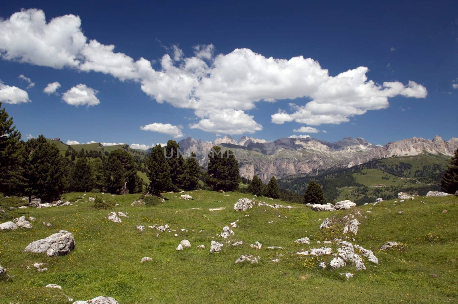 Alm, Sellajoch