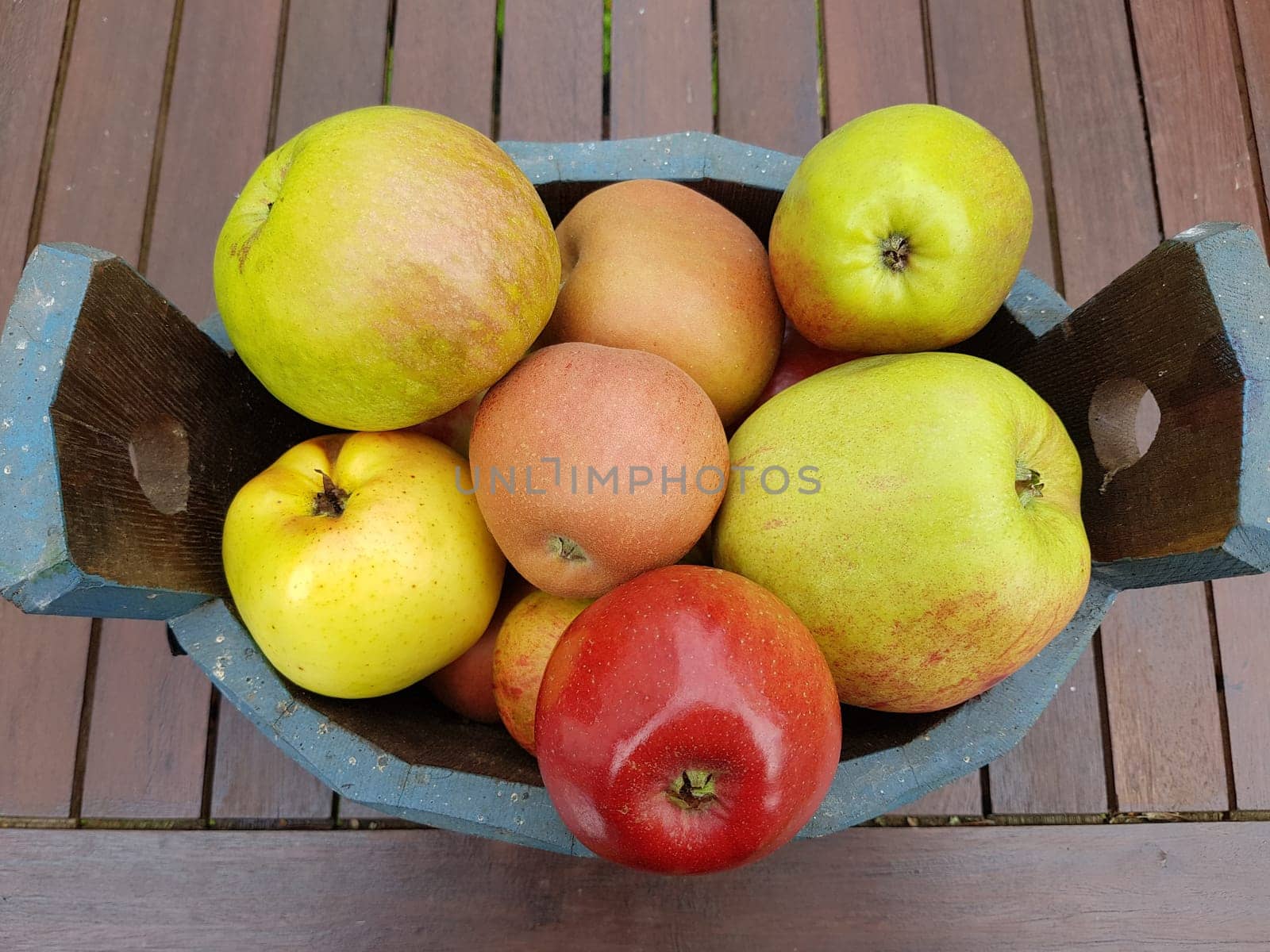 Alte Apfelsorten, verschiedene, Apfel, Malus, domestica, Aepfel
