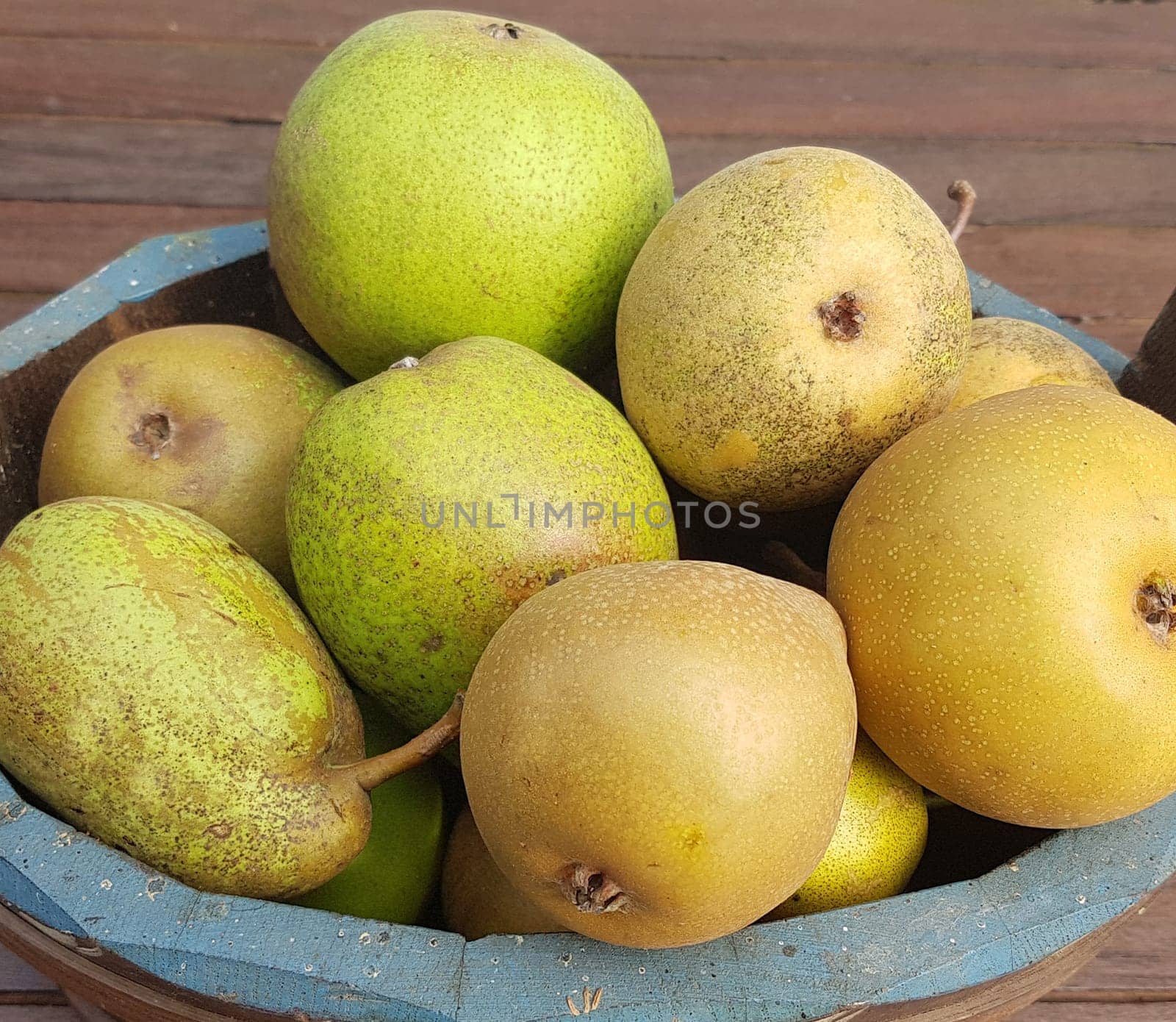 Alte Birnensorten, Birnen, verschiedene, Pyrus communis