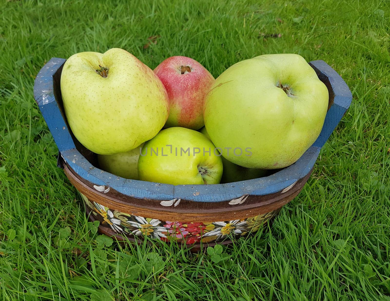 Alte Apfelsorten, verschiedene, Apfel, Malus, domestica, Aepfel