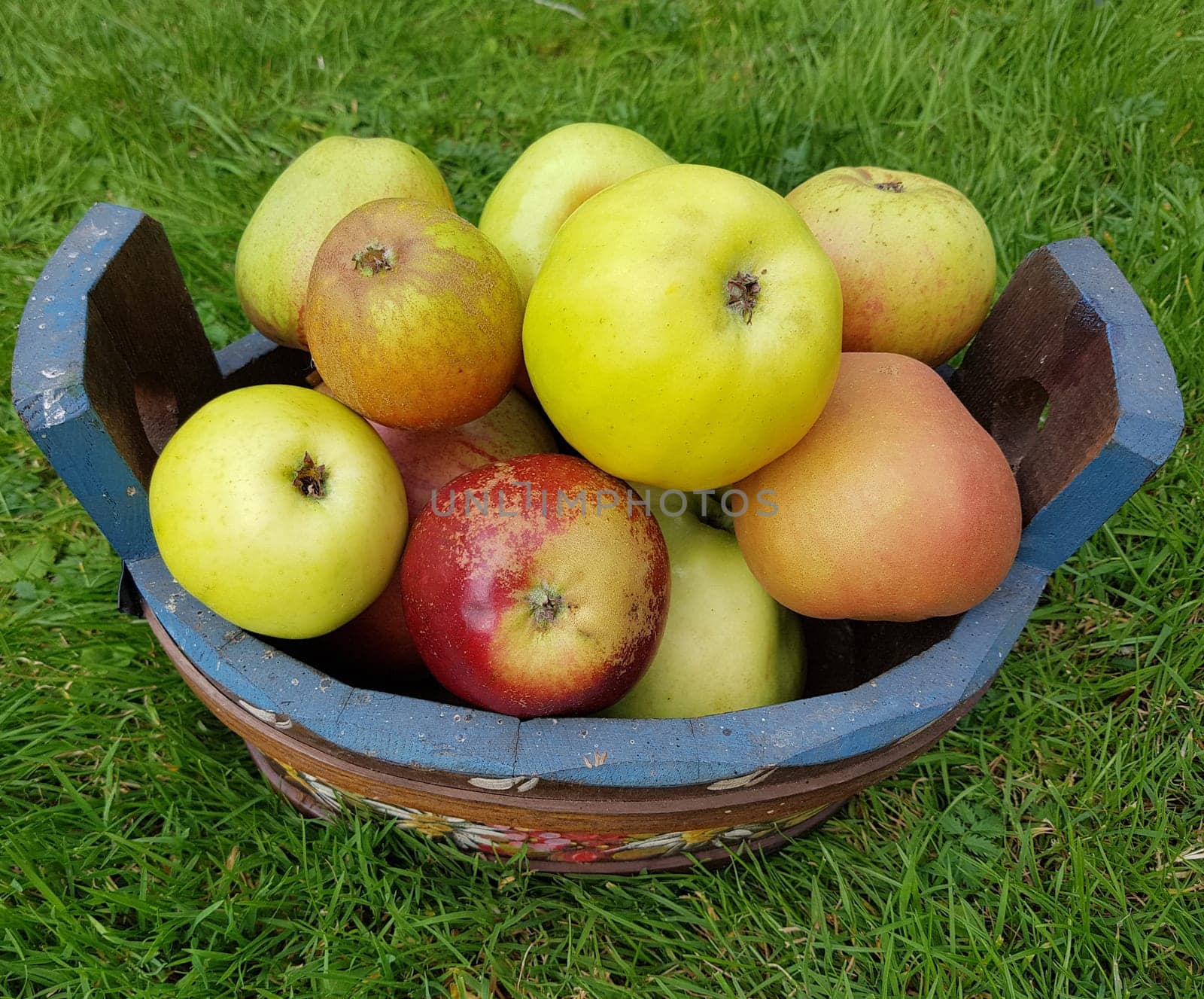 Alte Apfelsorten, verschiedene, Apfel, Malus, domestica, Aepfel