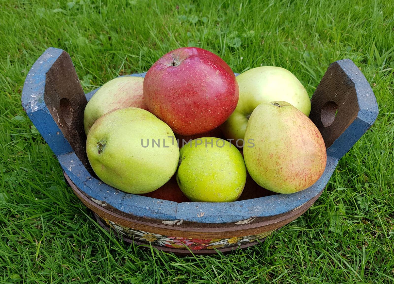 Alte Apfelsorten, verschiedene, Apfel, Malus, domestica