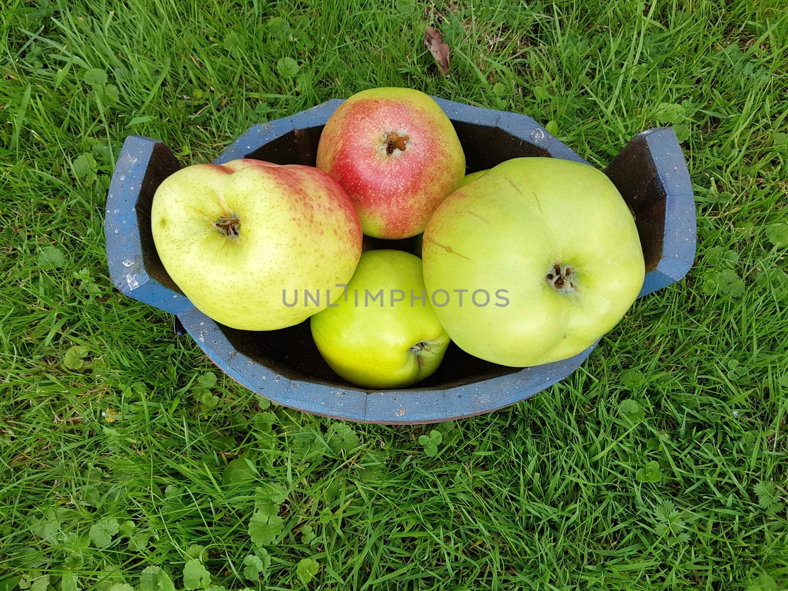 Alte Apfelsorten, verschiedene, Apfel, Malus, domestica, Aepfel