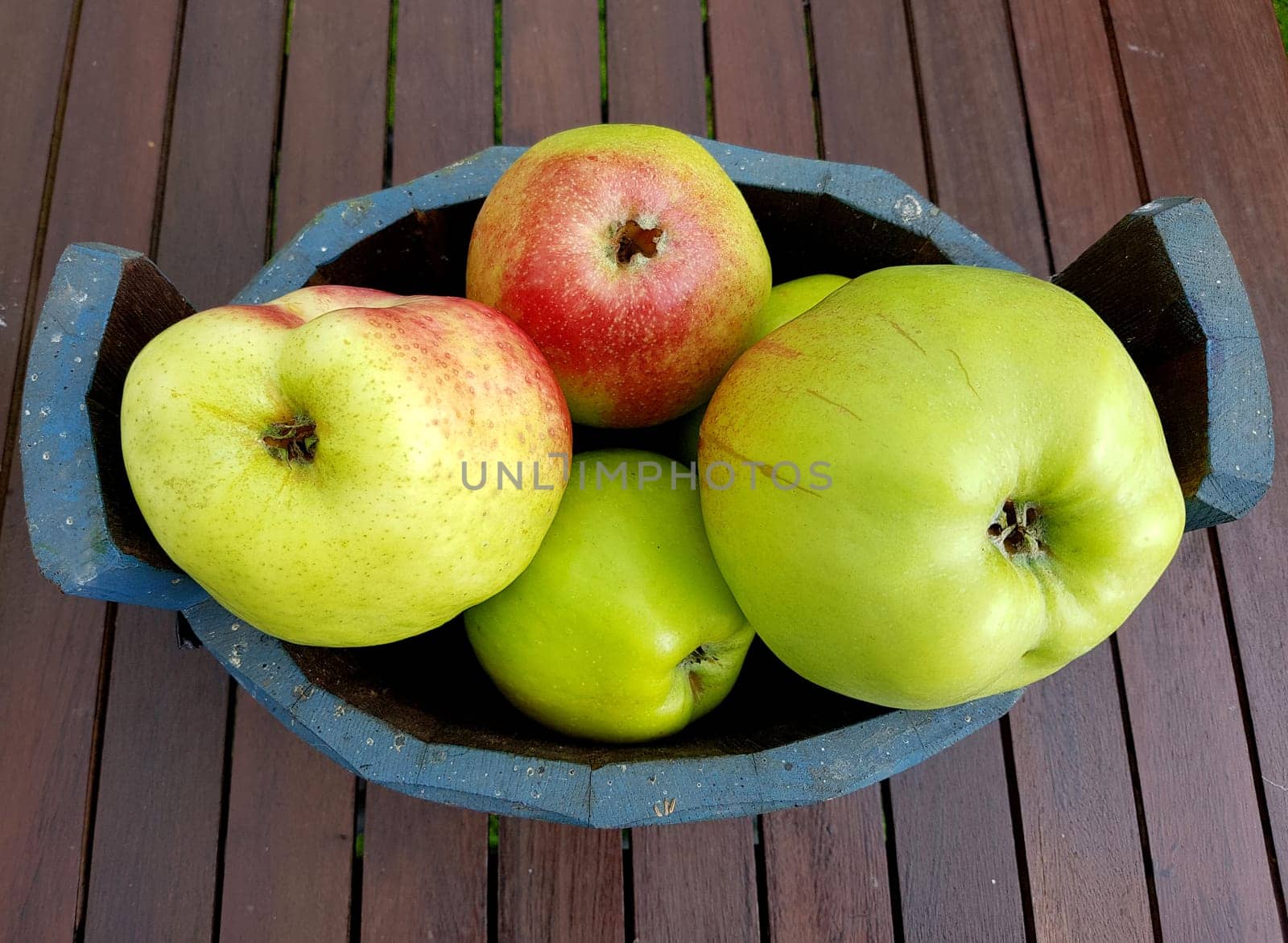 Alte Apfelsorten, verschiedene, Apfel, Malus, domestica, Aepfel