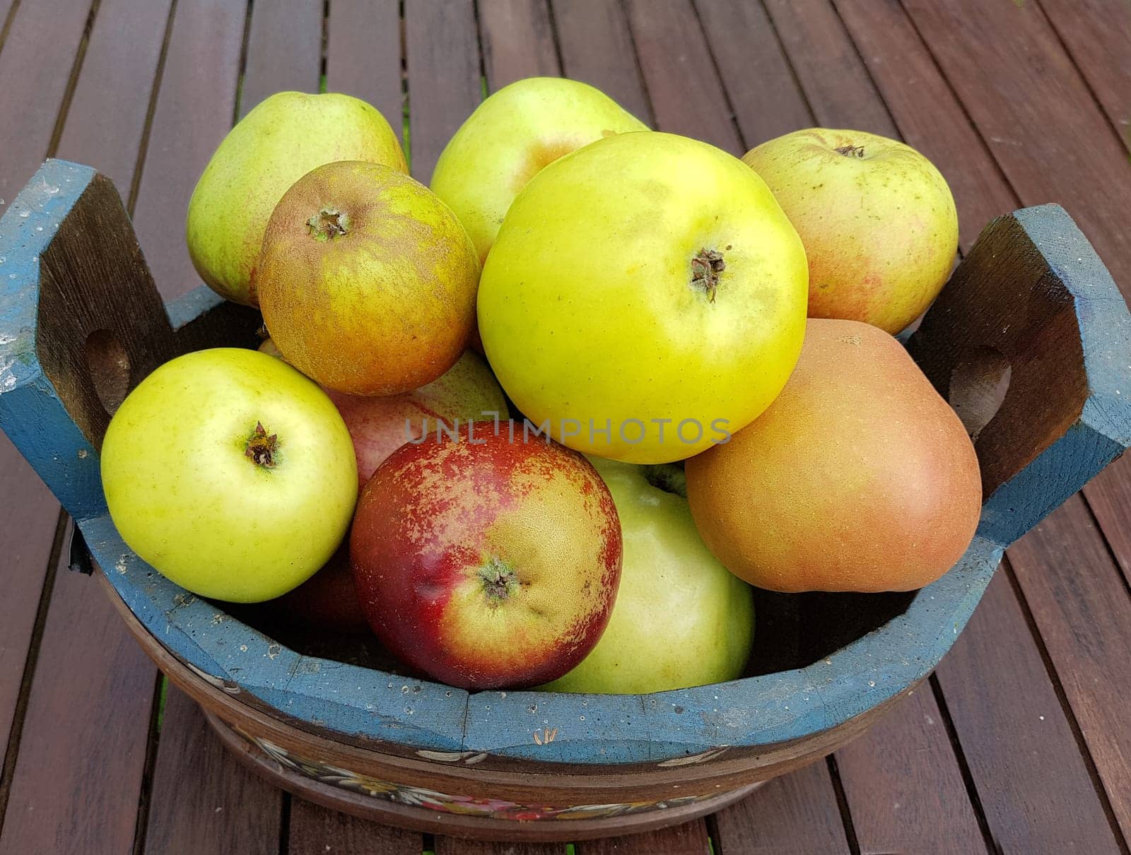 Alte Apfelsorten, verschiedene, Apfel, Malus, domestica, Aepfel