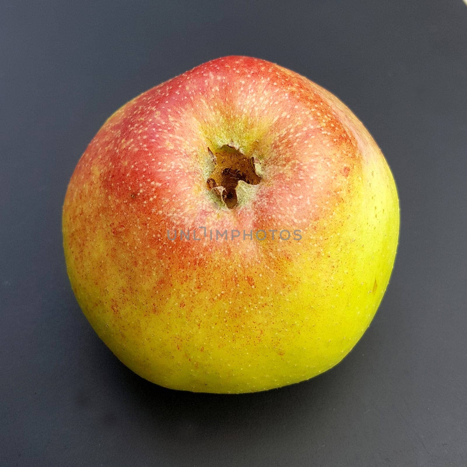Altlaender Pfannkuchen, Alte Apfelsorten, Apfel, Malus, domestica