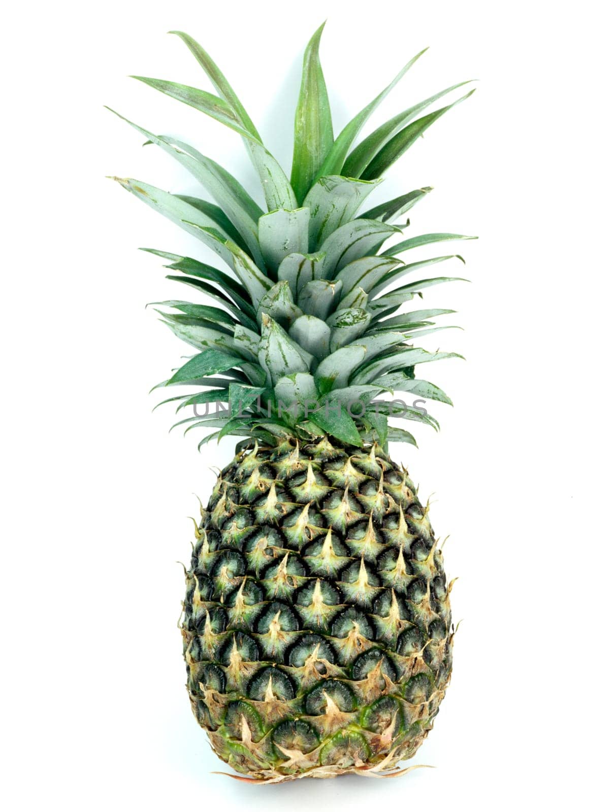 Ananas  Suedfrucht