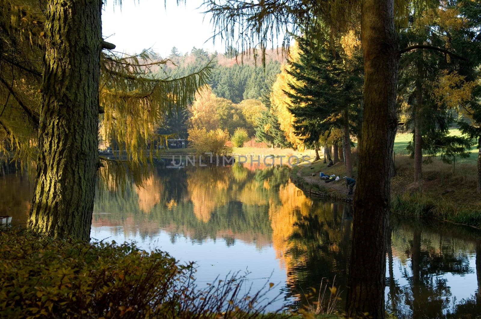 Angelweiher