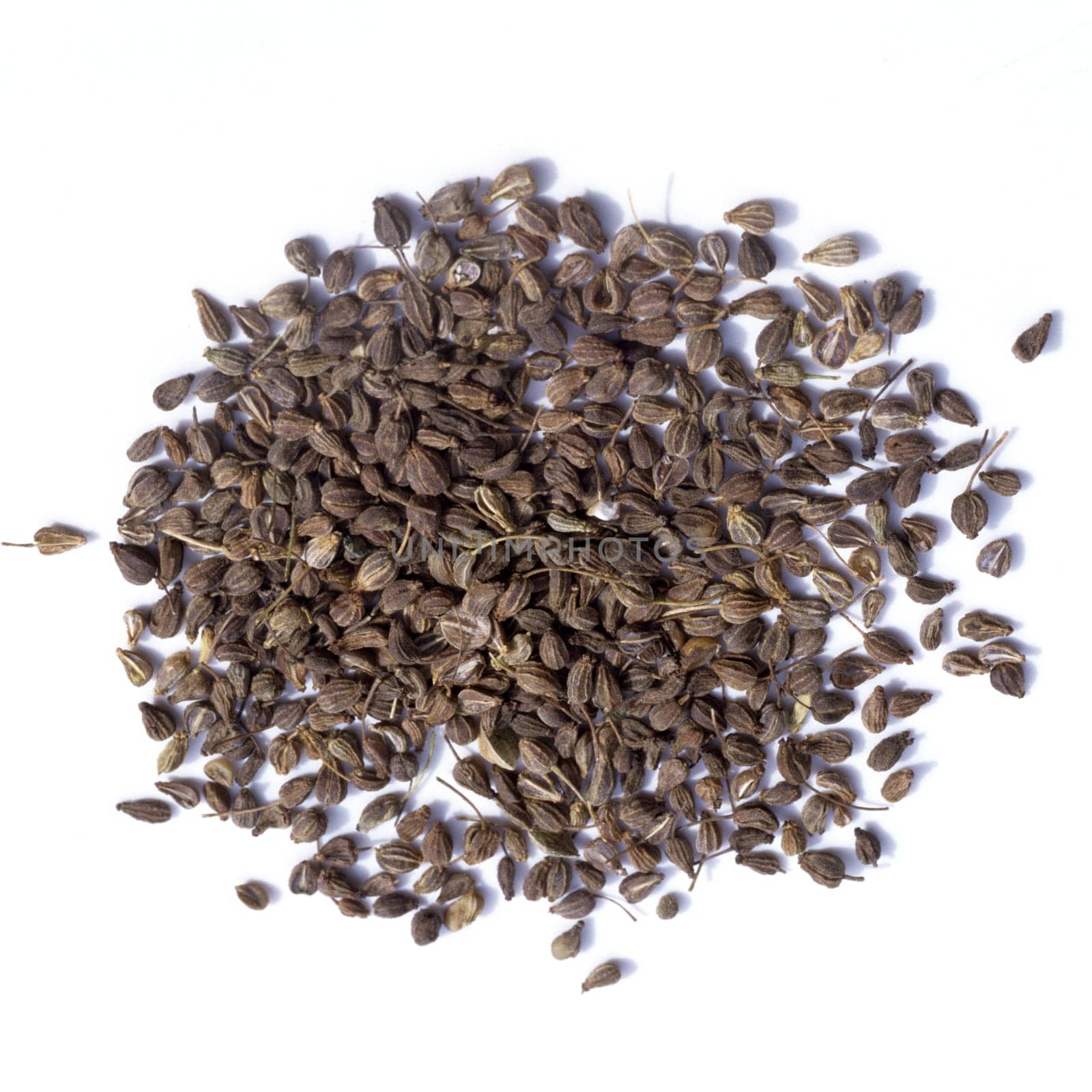 Anissamen, Anis, Pimpinella, anisum