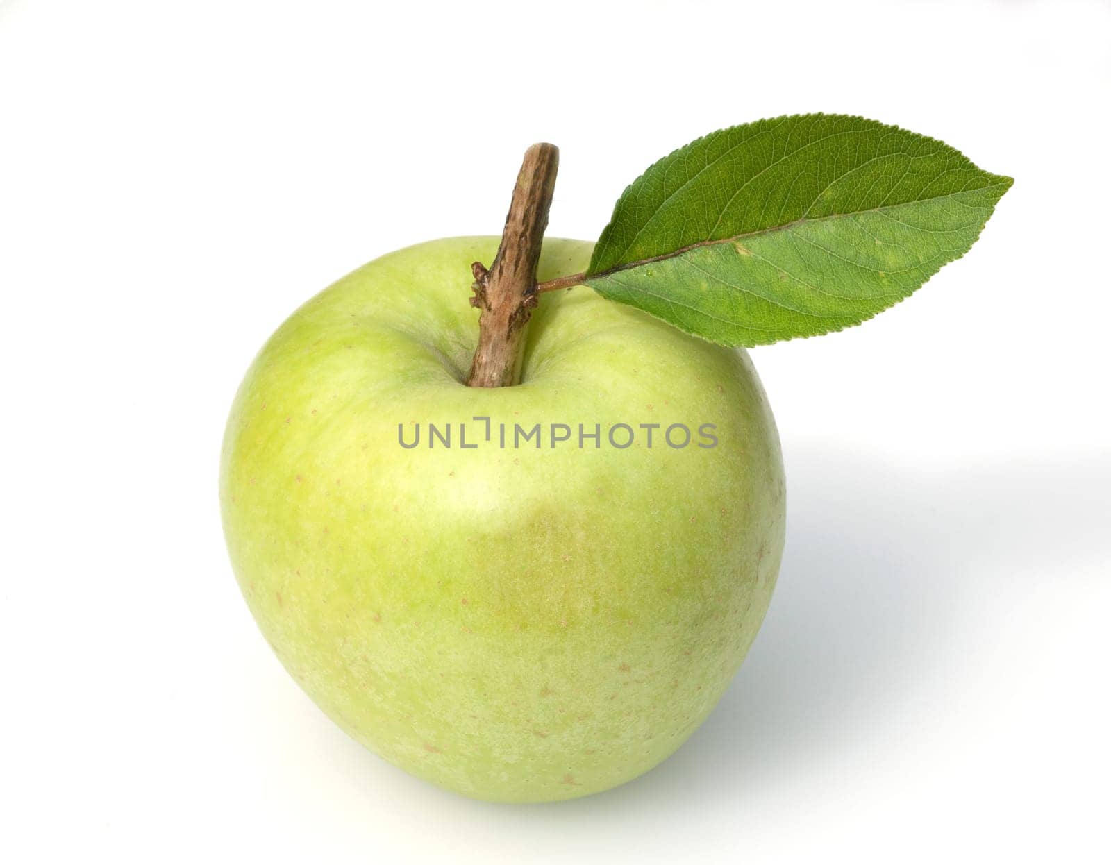 Granny, Apfel, Malus domestica, Granny Smith
