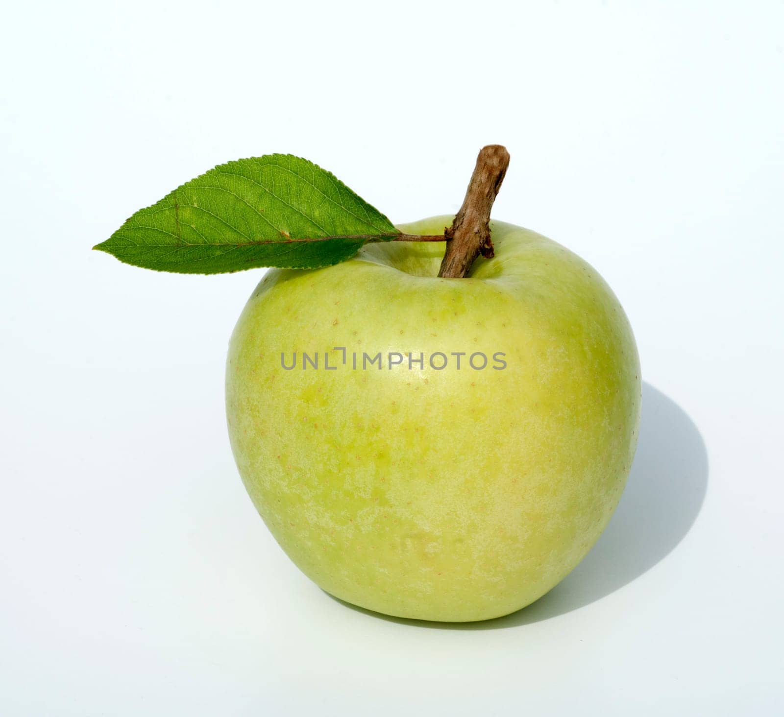 Granny, Apfel, Malus domestica, Granny Smith