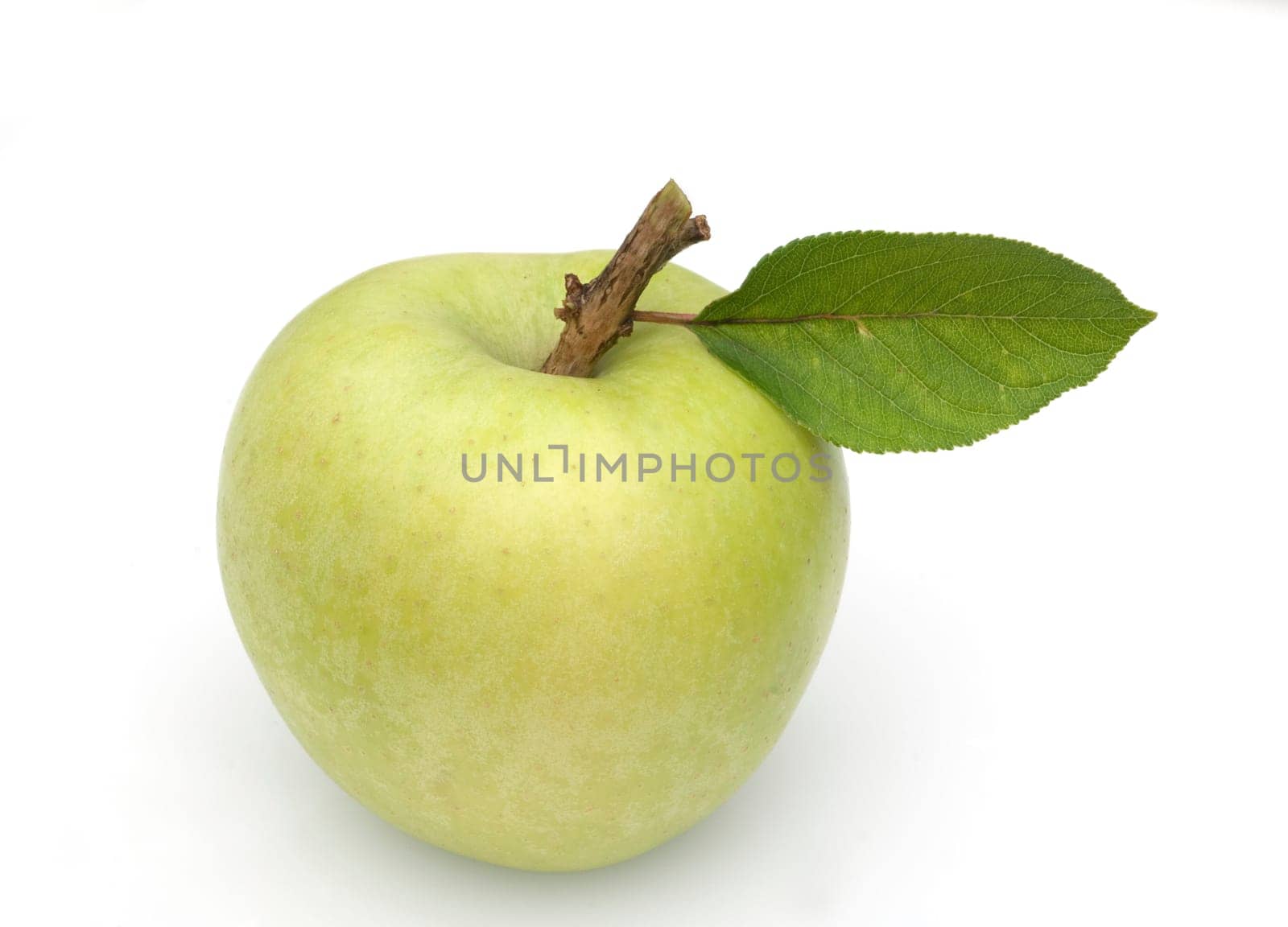 Granny, Apfel, Malus domestica, Granny Smith