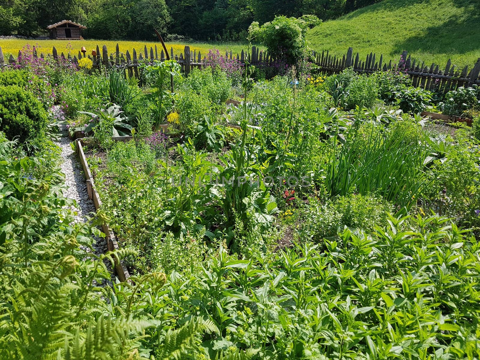 Bauerngarten  Kraeutergarten, Apothekergarten