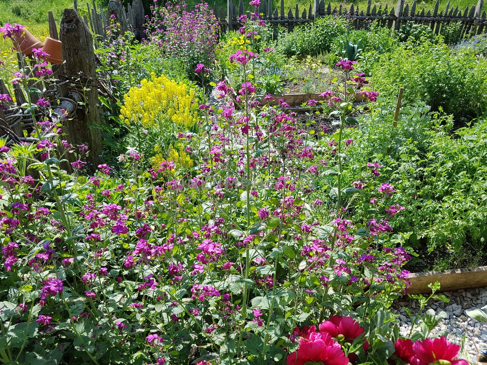 Bauerngarten  Kraeutergarten, Apothekergarten