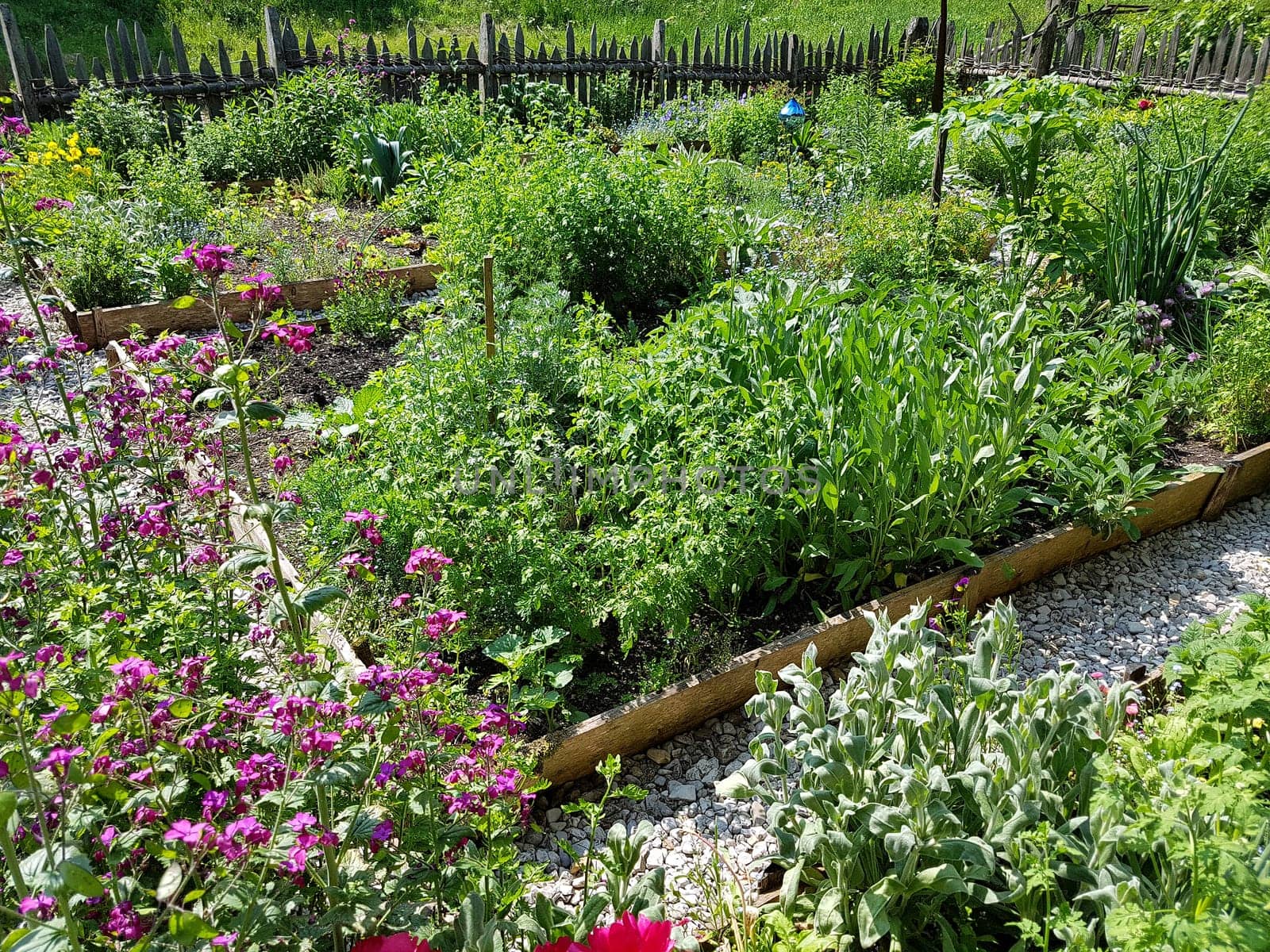 Bauerngarten  Kraeutergarten, Apothekergarten
